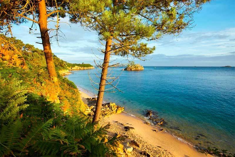 Gite De Charme Entre Terre Et Mer Villa Plougonven Екстериор снимка